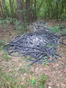 Foto: Kabelreste im Wald 